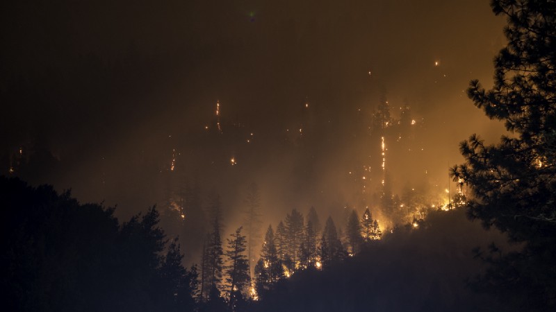 Why Are Forest Fires Occurring More Frequently?