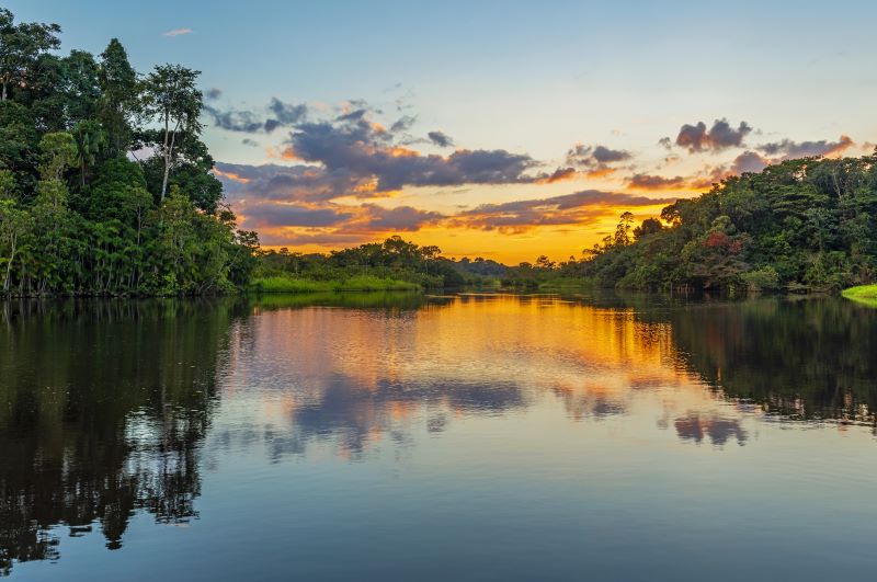 Amazon rainforest basin