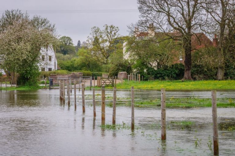 The UK Is Unprepared For Climate Change - SearchScene Blog